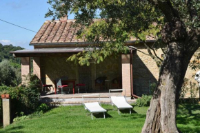 CASE&COLLINE - Girasole Montescudaio
